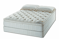Pillowtop-Softside Waterbed with dual mattresses