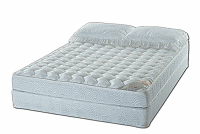 Plush Top with Dual Semi Motion Waterbed Mattresses